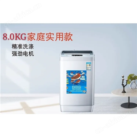 全自动洗脱烘干一体滚筒洗鞋机甩干刷鞋机智能擦鞋机懒人洗鞋神器
