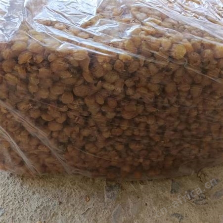 袋装去核灯笼肉特级元肉 原味无添加 大中小颗粒桂圆干龙眼肉