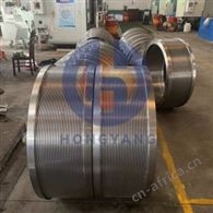 VAN AARSEN C900 ring die