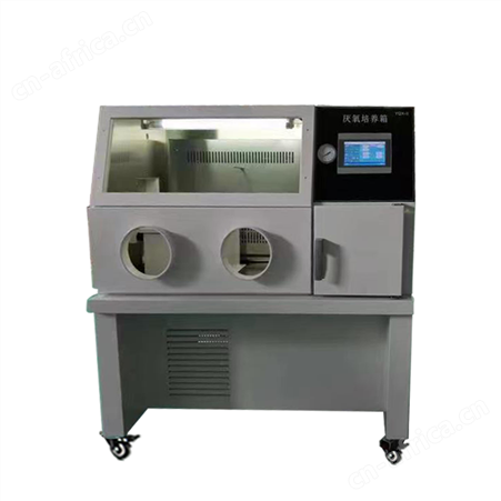 销售厌氧培养箱生产